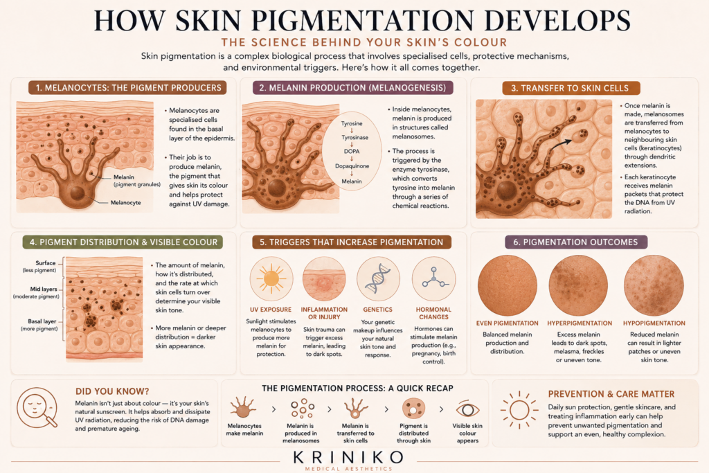 How pigmentation is caused - Kriniko